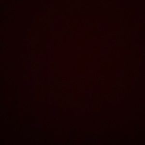 Meet your Posher, Peyton